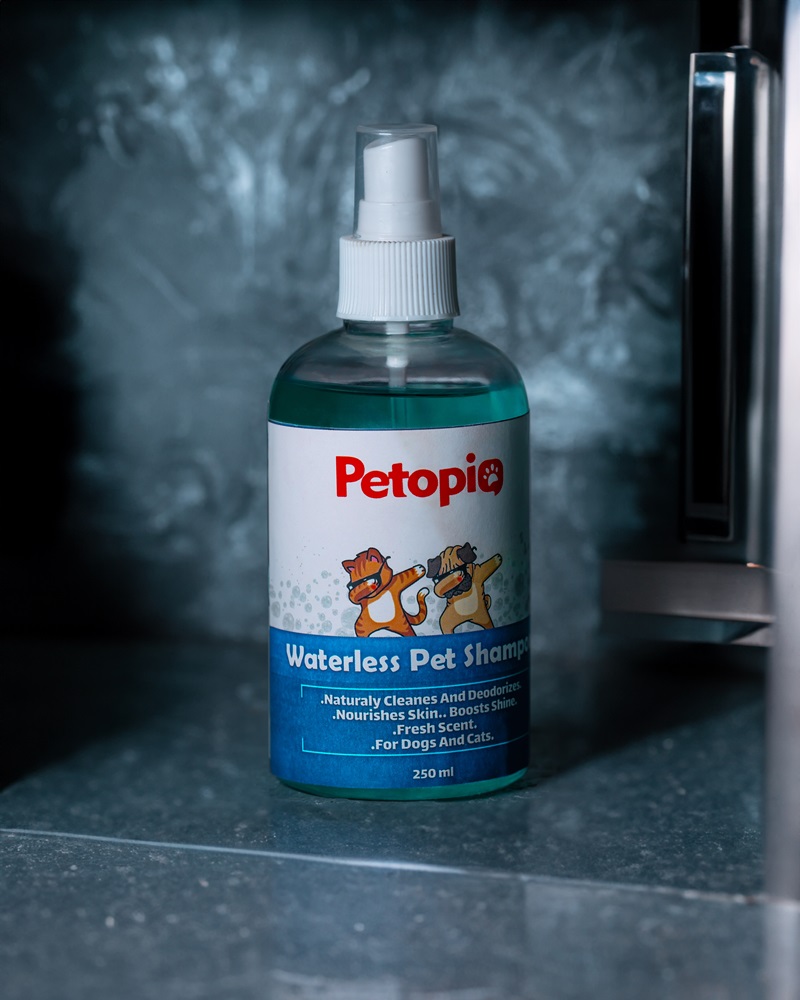 Dry shampoo